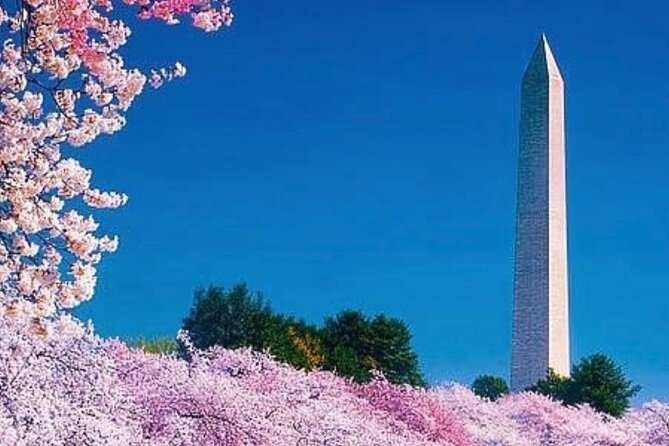 3 Hour Tour Of Washington, D.C. The Nucleus Of Democracy - King and Lincoln, the emotional center of the route