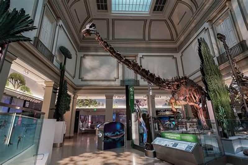 American History/Natural History Museum Combo Guided Tour - Key points to know