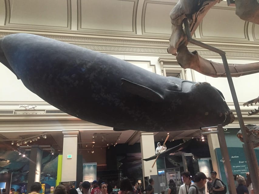 American History/Natural History Museum Combo Guided Tour - The American History Museum in 90 minutes