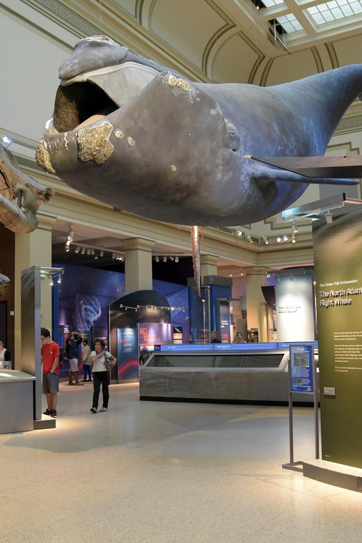 American History/Natural History Museum Combo Guided Tour - Why the small group matters here