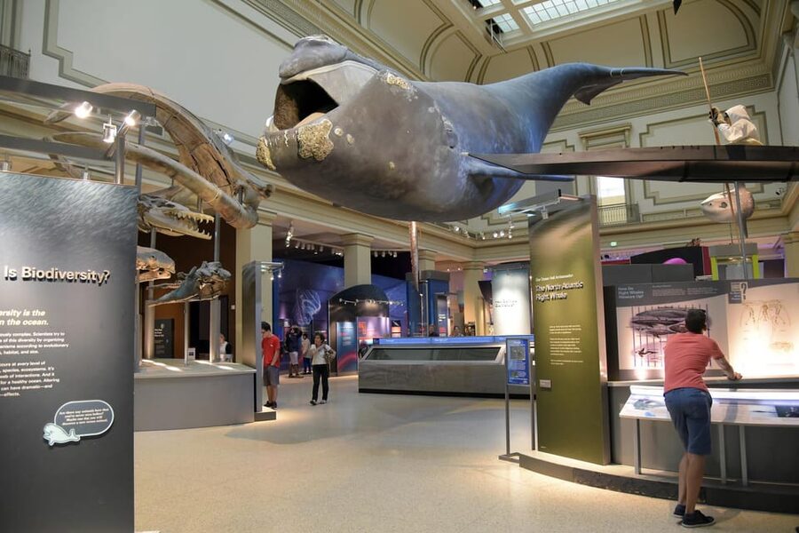 American History/Natural History Museum Combo Guided Tour - Who will enjoy this tour most?