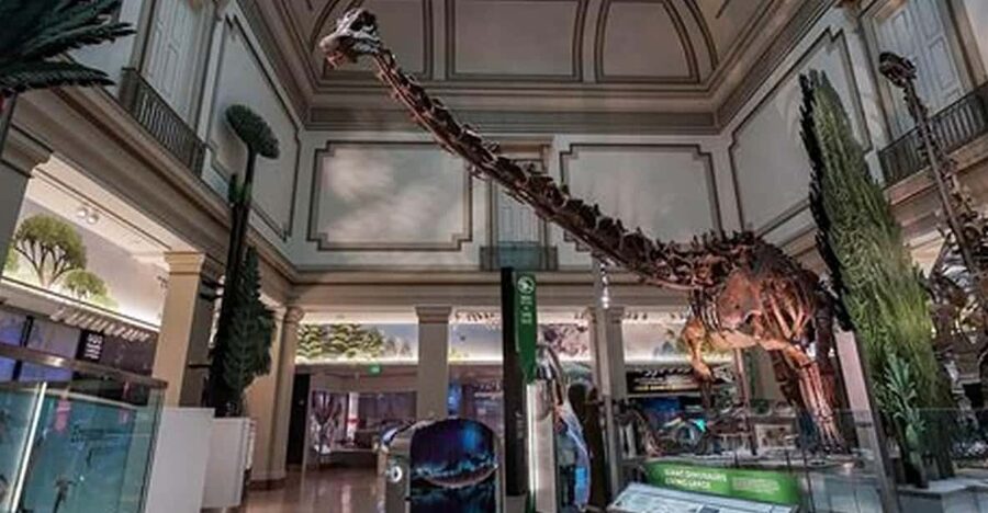 American History/Natural History Museum Combo Guided Tour - Starting at 1300 Constitution Avenue