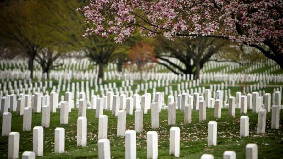 Arlington Cementary & Guard Ceremony with Iowa Jima Memorial - Who should book this Arlington tour?