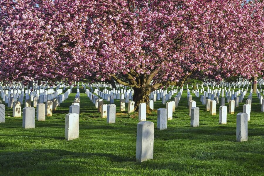 Arlington Cemetery Walk with National Mall Night Bus Tour - Twenty more landmarks pass by the bus windows