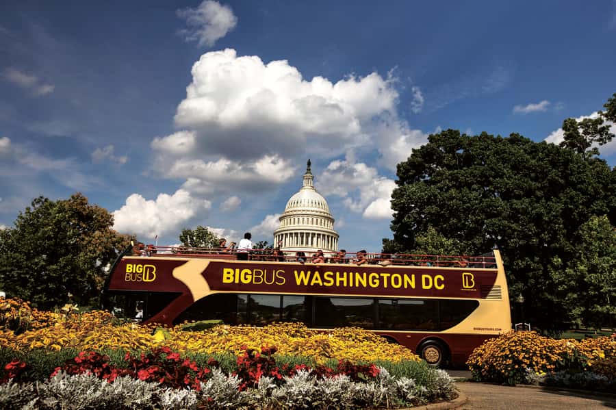 Best of DC: Hop-on Hop-off Bus Tour & Night Tour (Save 40%) - Key points to know