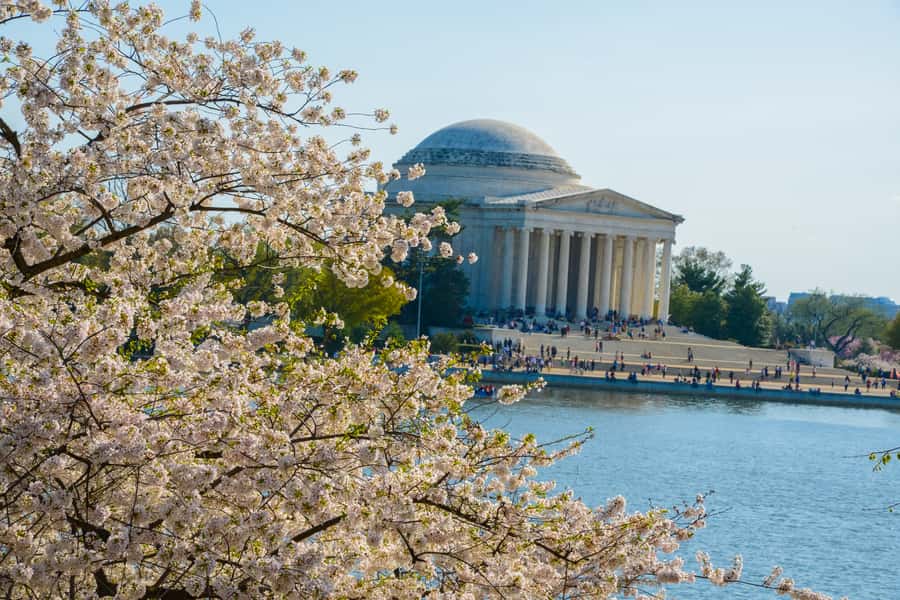 Best of DC: Hop-on Hop-off Bus Tour & Night Tour (Save 40%) - What the commentary adds, and where it falls short