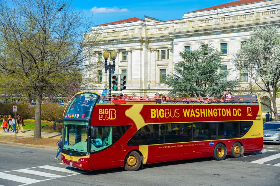 Best of DC: Hop-on Hop-off Bus Tour & Night Tour (Save 40%) - Extras that can improve the value