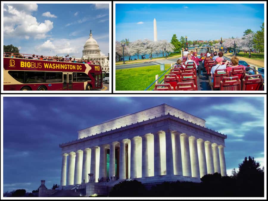 Best of DC: Hop-on Hop-off Bus Tour & Night Tour (Save 40%) - Starting at Union Station and choosing your route
