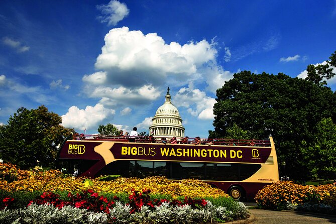Best of DC: Hop-on Hop-off, Night Tour, and Arlington Audio Guide - Key points to know before you book