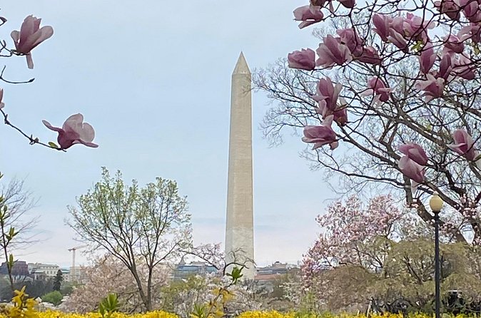 Beyond the Closet Walking Tour - Why guide Zach makes a difference