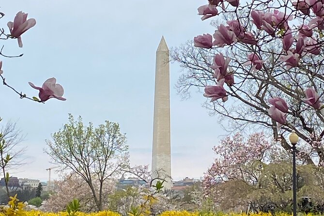 Beyond the Closet Walking Tour - Price and value at $30