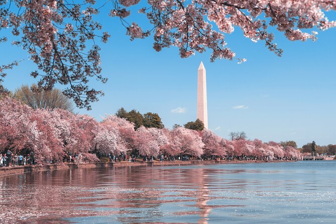Cherry Blossom & Monuments Tour with Washington Monument, Museums - Four memorials with very different moods