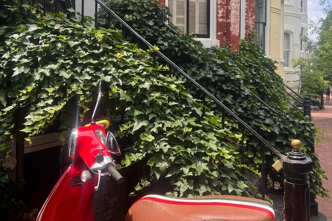 Cobblestones & Croissants: A Morning Food Tour in Georgetown, DC - The C&O Canal, moving locks, and a final cupcake