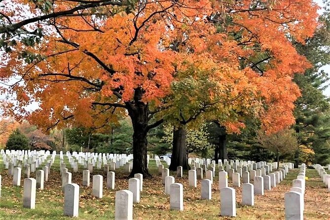 Day or Night National Mall Bus Tour with Arlington Cemetery Walk - Guide quality matters more than usual