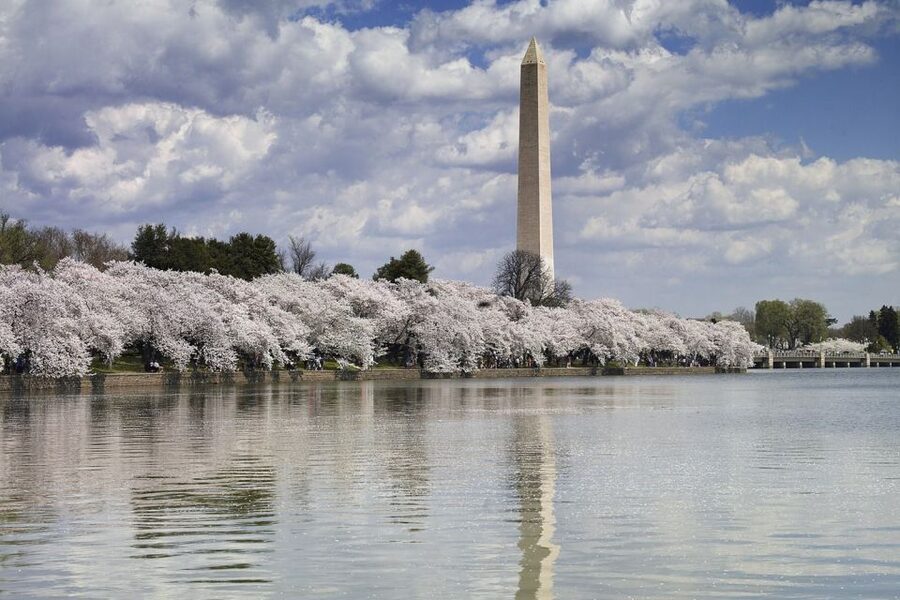 DC Bus Tour with Optional Washington Monument or Air & Space - Martin Luther King Jr. Memorial and the human side of the route