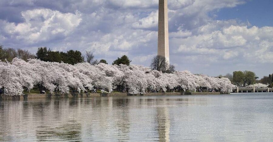 DC Bus Tour with Optional Washington Monument or Air & Space - Adding the Air and Space Museum