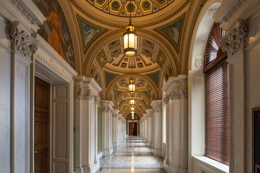 DC: Capitol Hill and Library of Congress Tour with Tickets - Capitol photos and the working Hill