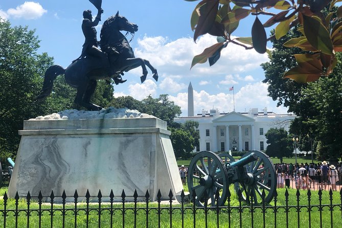 DC Daylight Tour™ Private Luxury Tour of Washington DC - A private way to get your bearings in Washington