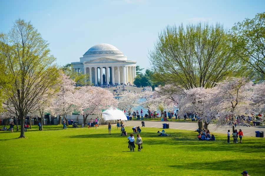 DC: Hop-on Hop-off Tour by Open-top Bus with 17 Stops - Why the open-top bus works well in Washington DC