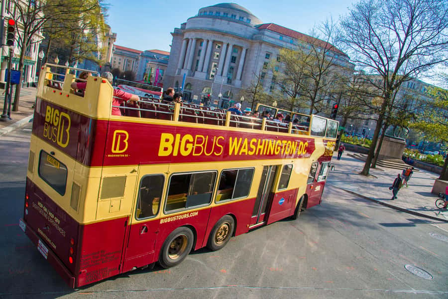 DC: Hop-on Hop-off Tour by Open-top Bus with 17 Stops - Capitol Hill, Grant Memorial, and The Wharf
