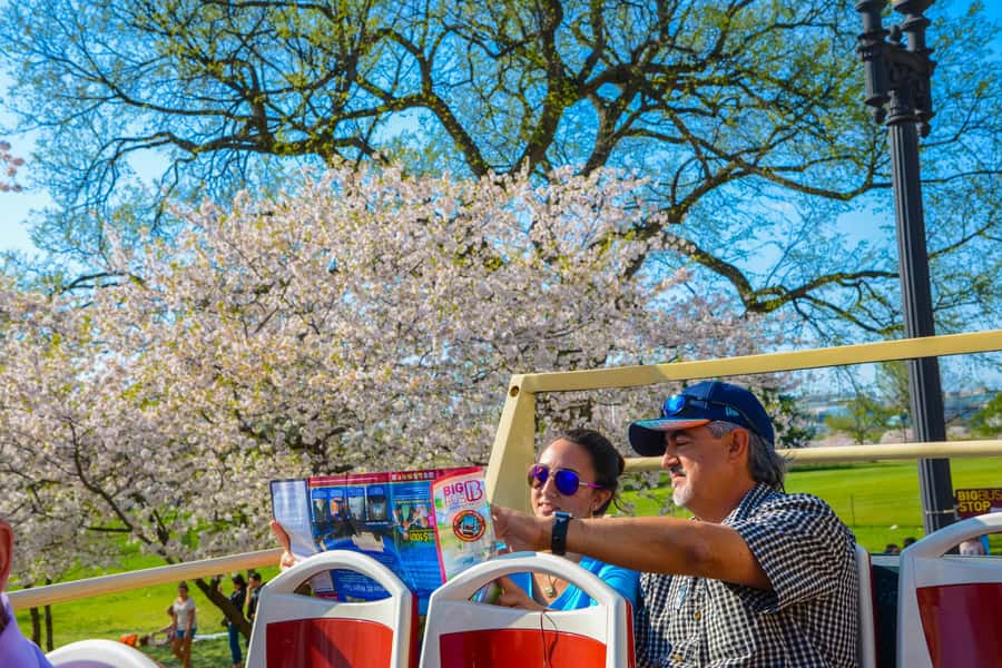 DC: Hop-on Hop-off Tour by Open-top Bus with 17 Stops - Traffic, stop signs, and other practical limits