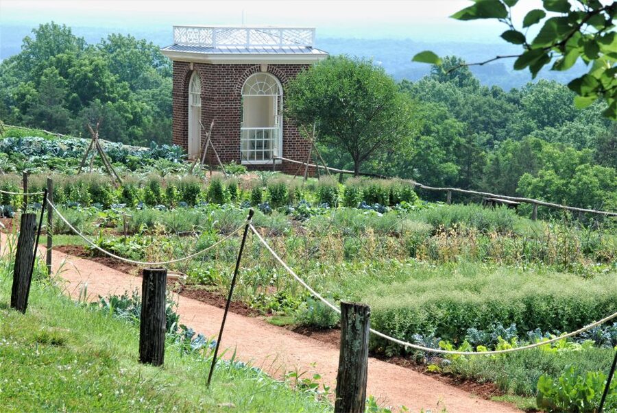 DC: Private Day Trip to Thomas Jefferson’s Monticello Estate - Gardens, views, and the parts beyond the house