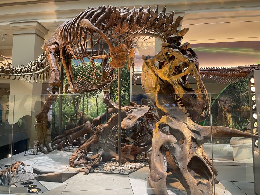 DC: Smithsonian Highlights Walking Tour with Air and Space - What the guides add to the experience