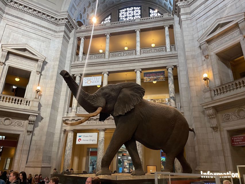 DC: Smithsonian Highlights Walking Tour with Air and Space - My verdict on the three-museum route