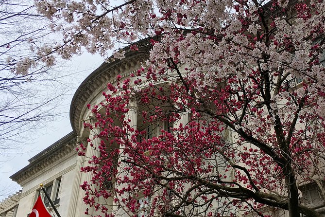Dupont Circle and Embassy Row Architectural Walking Tour - The Indonesian and Turkish buildings, plus a music connection