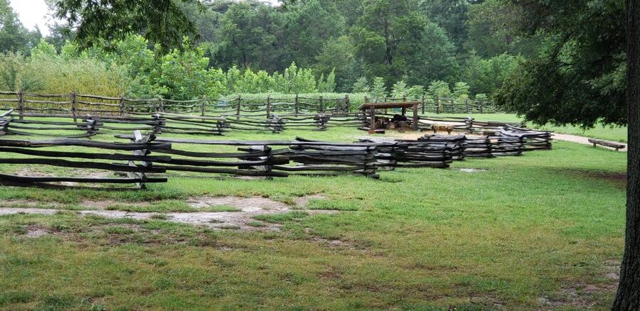 From Washington DC: Old Town Alexandria & Mount Vernon Tour - Lunch, gardens, and free time at the estate