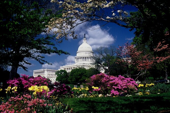 Guided Capitol Hill with US Capitol and Library of Congress Entry - The guides can make or break the experience