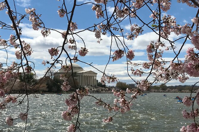 Half-Day Private Guided Bike Tour in Washington - A quiet pause at the Robert A. Taft Memorial