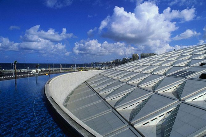Half Day Tour to Bibliotheca Alexandrina - Who will enjoy this experience most?