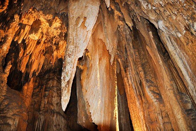 Luray Caverns and Shenandoah Small Group Max 12 Day Tour from D.C - Is $88 a good value?