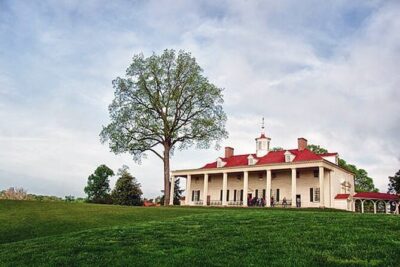 Mount Vernon Guided Estate Tour plus Old Town Alexandria from DC