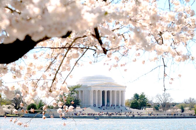 National Mall & Cherry Blossoms Tour with Optional Museum Tickets - What the coach adds to the experience