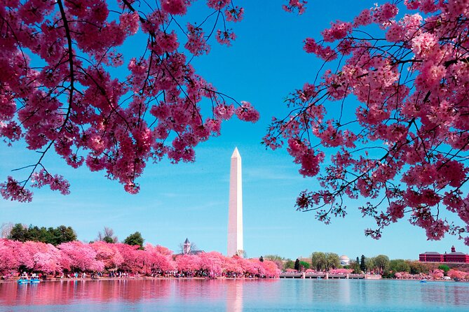 National Mall & Cherry Blossoms Tour with Optional Museum Tickets - Optional museum and Washington Monument tickets