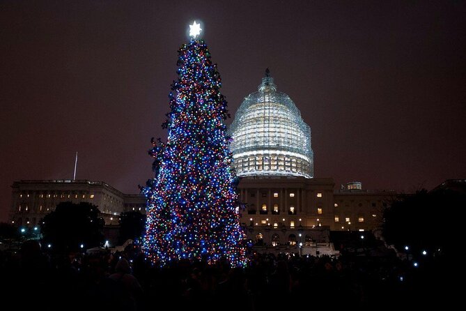 National Mall Monuments Night Tour with 10+ Stops, Entry Tickets - Why a Night Tour Works So Well in Washington