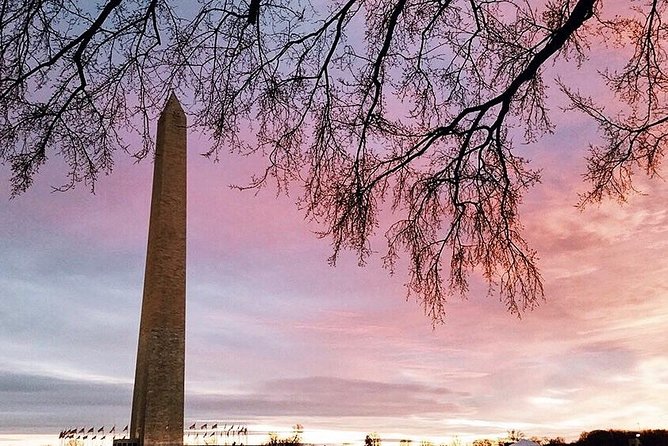 National Mall Tour w/ Washington Monument Semi-Private 12ppl Max - Why this National Mall walk works well