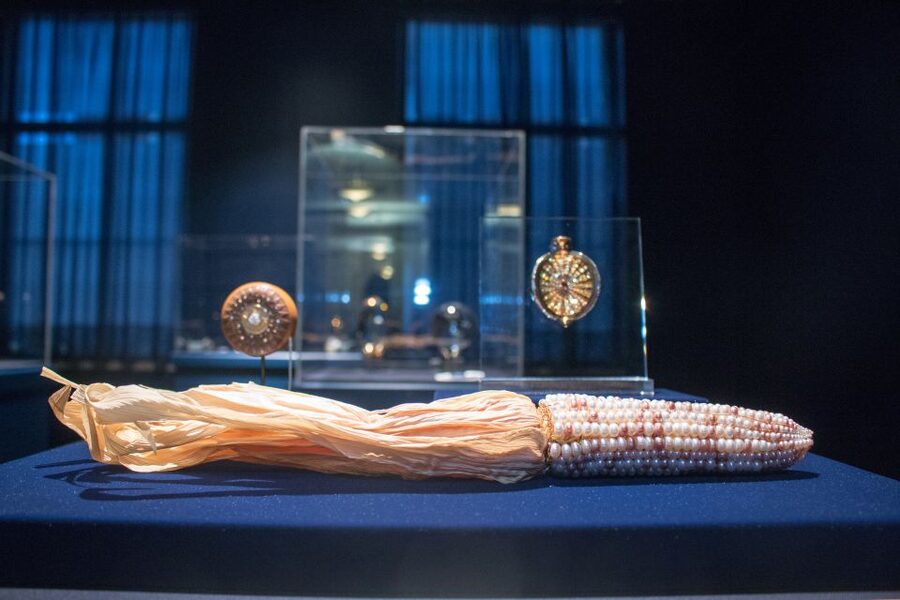 Natural History Museum & American History Museum - Who should book this museum tour?
