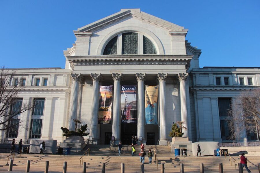 Natural History Museum & American History Museum - National symbols and uncomfortable reminders