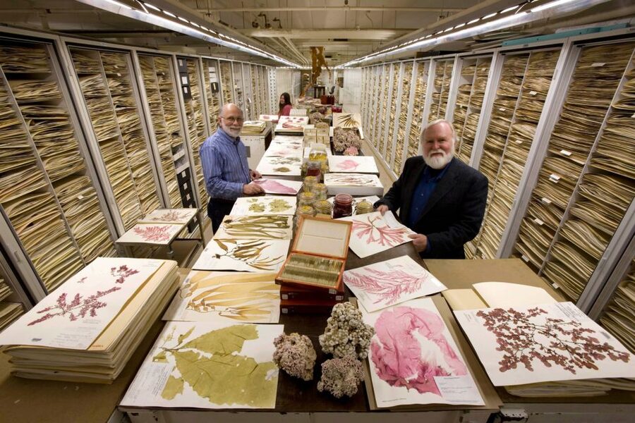Natural History Museum & American History Museum - Why the small group size matters
