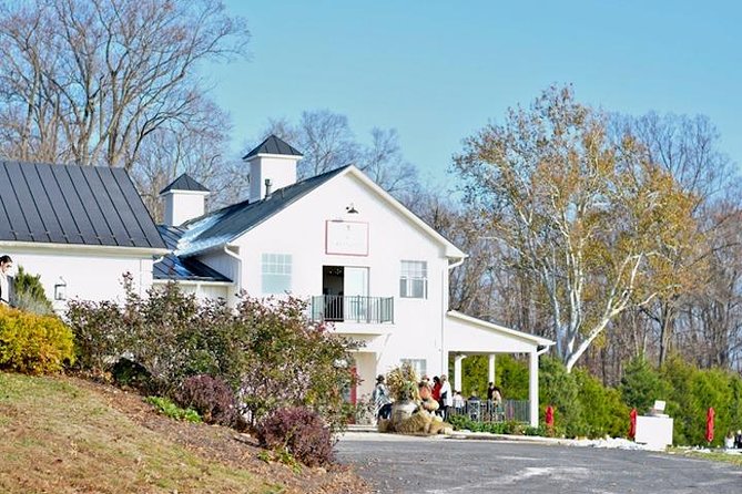 Northern Virginia Private Custom Wine Tour and Tasting from DC - Second stop: Blue Valley Vineyard and Winery