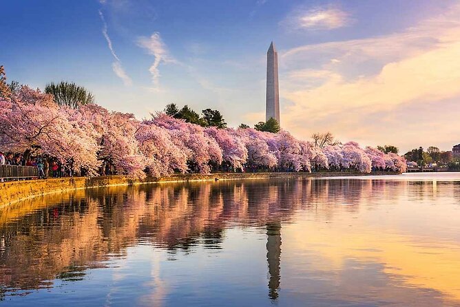 NYC to D.C Day Trip: Thomas Jefferson Memorial to Cherry Blossoms - Key points before you book