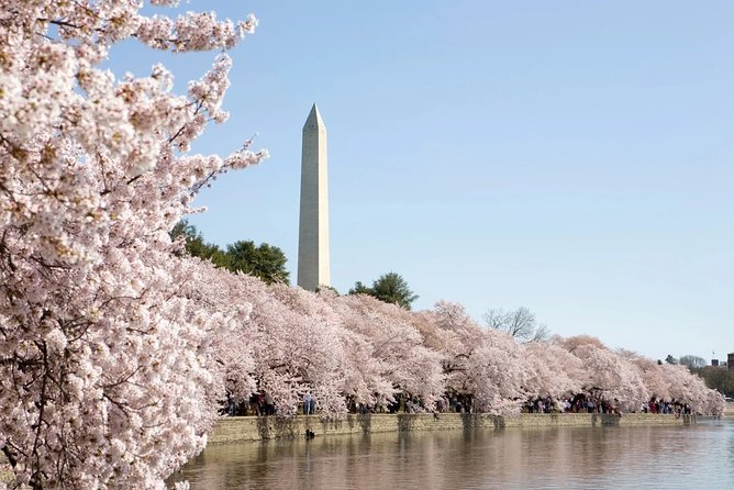 Presidential DC: Capitol Hill + DC Bus Tour, US Capitol Entry - Martin Luther King Jr. Memorial and FDR Memorial