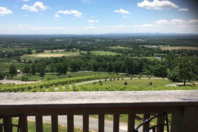 Private Loudoun County Wine Tour from DC with 3 Winery Stops - Casanel Vineyards: finish with a third tasting