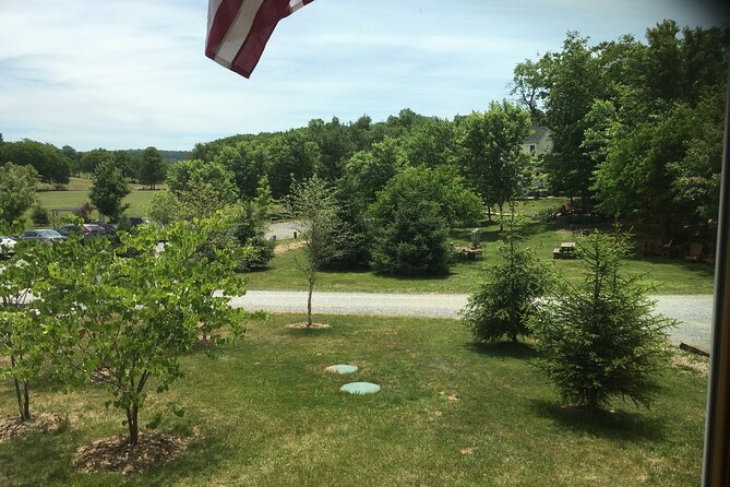 Private Loudoun County Wine Tour from DC with 3 Winery Stops - What the private driver adds