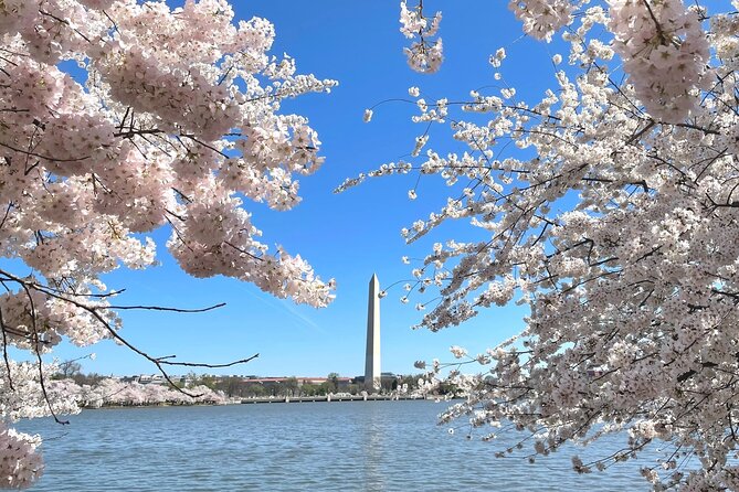 Private Washington DC City Tour | Monuments Tour - Jefferson, Roosevelt, and King create the emotional center