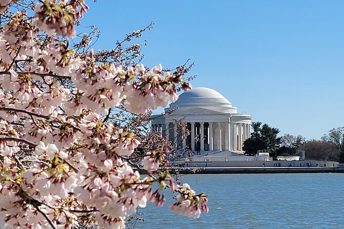 Private Washington DC Tour with Changing of the Guard Ceremony - Key points to know before booking