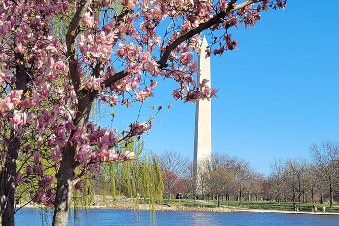 Private Washington DC Tour with Changing of the Guard Ceremony - The Capitol terrace and the view toward the Mall
